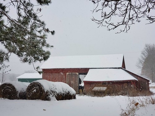 westernisabellacounty michigan snow photo fields farmcounty organicfarm redbarn barn hay bales