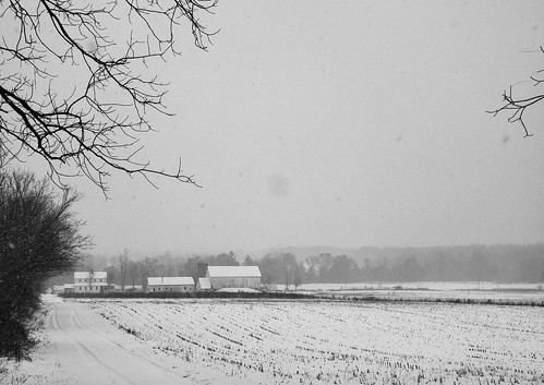 westernisabellacounty michigan snow photo fields farmcounty amish farmhouse barn white
