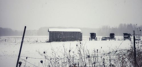 westernisabellacounty michigan snow photo fields farmcounty amish buggy carriage barn