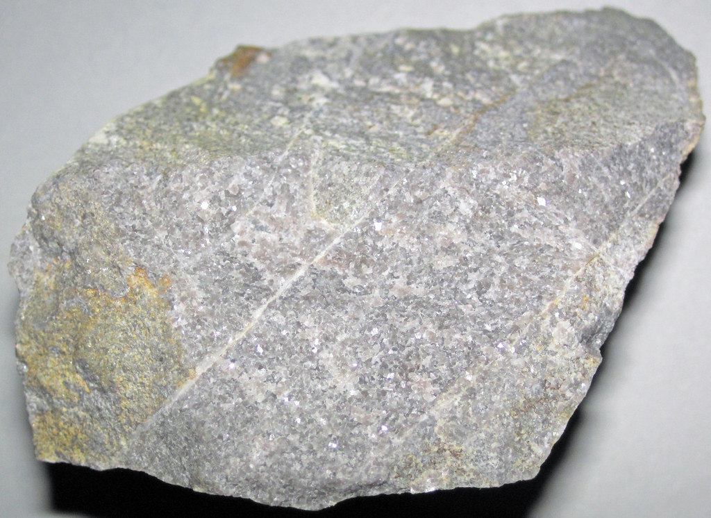 Dolostone (Knox Dolomite, Upper Cambrian to Lower Ordovician; Route 460 roadcut at the St. Clair Thrust Fault, Giles County, Virginia, USA) 1