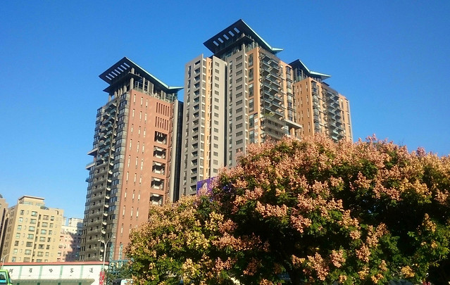 台中市建築 Taichung City Building - 1