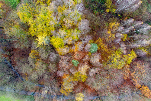 landscape autumn drone jura dolinabedkowska 1k 20f 5k 10k 50f orientationl dolinkipodkrakowskie 20k
