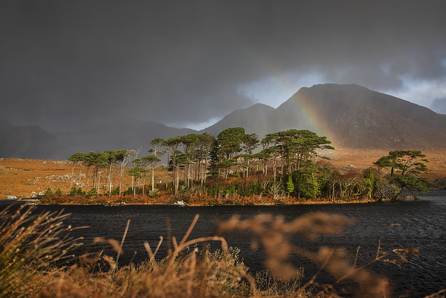 Prelude to a storm. Derryclare Lough, Galway