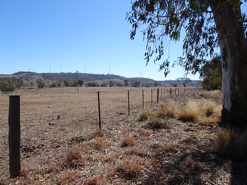 nsw farmland field fence dry hills swanvale