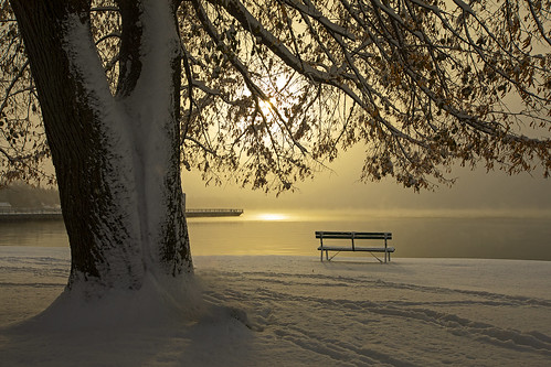 november snow snowfall snowy snowing life nature outdoors skaneateles lake flx fingerlakes morning sunrise winter cold chilly arctic landscape canon 2019