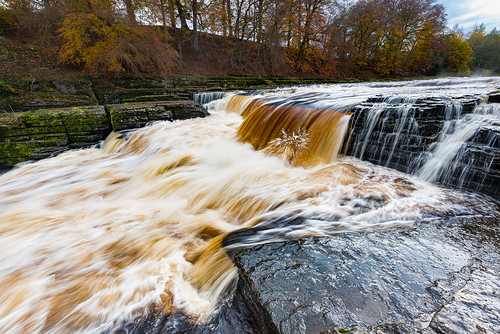 nikkor1424f28 nikond810 northyorkshire riverure autumn fall dynamic energy leaves outdoor river rock trees water waterfall