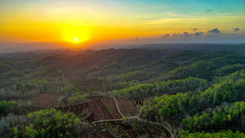 aerialview rainforests water aerial agriculture degradedforests drone environment forests landscape ocean scenery sunset tropicalforests yogyakarta daerahistimewayogyakarta indonesia