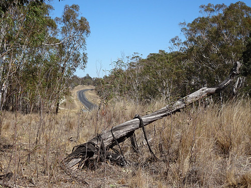 matheson nsw log road fallen bush bend