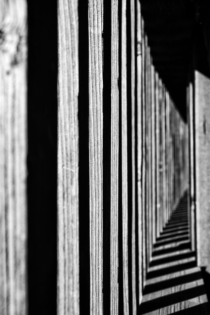 lines black and white