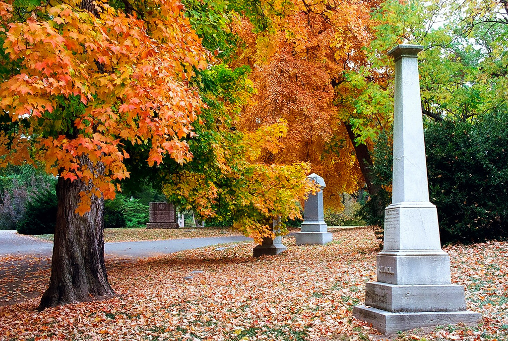 Cincinnati - Spring Grove Cemetery & Arboretum 