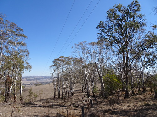 nsw rural dry bush wires gumtrees electricity matheson