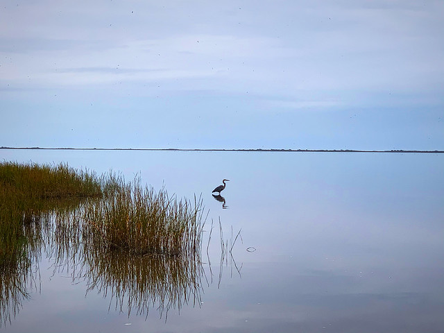 Salt lake at Brazoria National Wildlife Refuge on the Gulf Coast (11/11/2019).