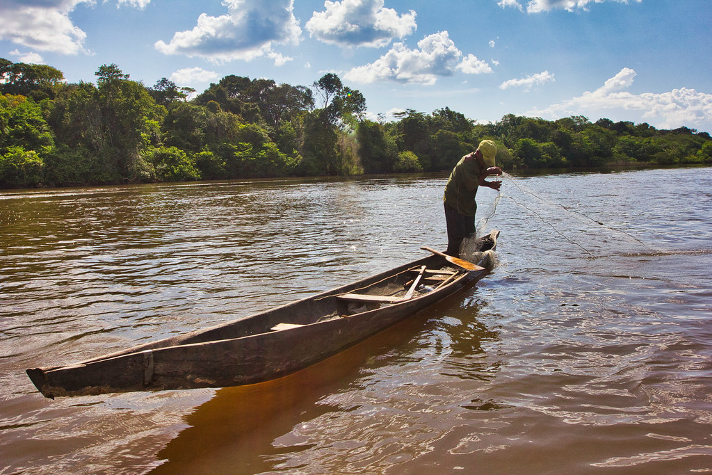 A fisherman sets a net on the Rupununi River in southern Guyana.