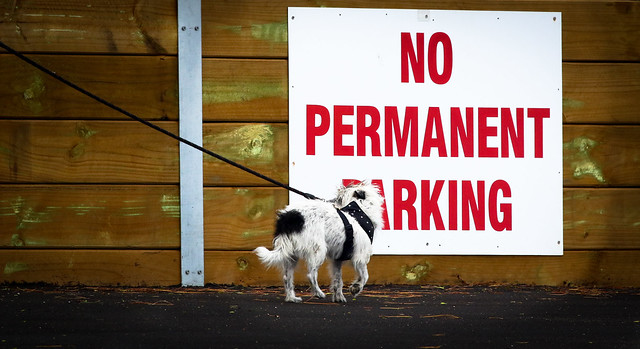 NO PERMANENT BARKING !! . . . woof ?   [Explored]