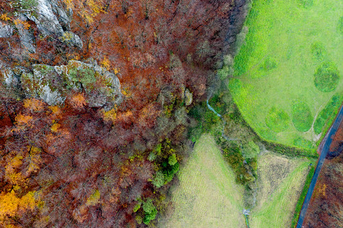 landscape outdoor drone autumn colors tree leaves 1k 5k 10k 20f orientationl dolinkipodkrakowskie