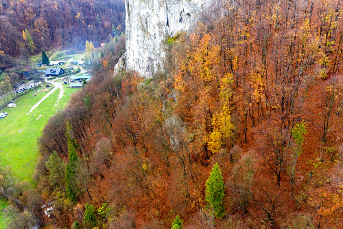 landscape outdoor drone autumn colors tree leaves rock stone 1k 5k 10k orientationl 20f dolinkipodkrakowskie