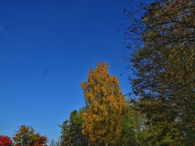 Blue autumn sky