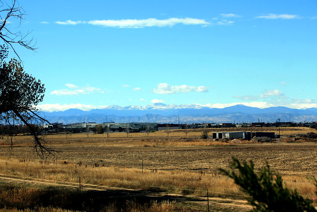 Mount Evans in the distance...
