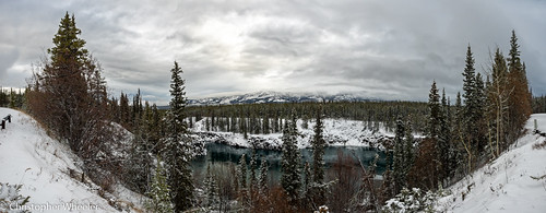 willowbushes sprucetrees willow winter canyon mountains northof60 yukonrivervalley borealforest yukonriver daytime boreal cloud afternoon southernyukon olympusomdem1 nature water beauty panorama forest snow northern trees pinetrees rocks 8exposurepanorama outside outdoors north mzuiko1240mmf28pro hills yukon canada landscape cold milescanyon valley