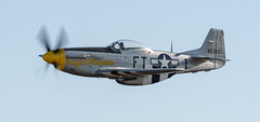 P-51D Mustang 'Angels' Playmate'