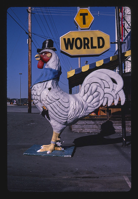Rooster statue at Shirt World, Route 441, Pigeon Forge, Tennessee (LOC)