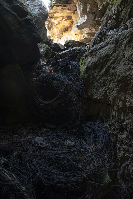 BARBED WIRE CAVE