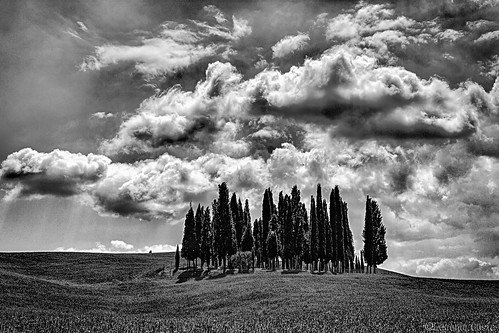 approvato quirico dorcia alberi cielo clouds sky tree outside cipressi toscana italia campagna cypresses tuscany italy countryside siena