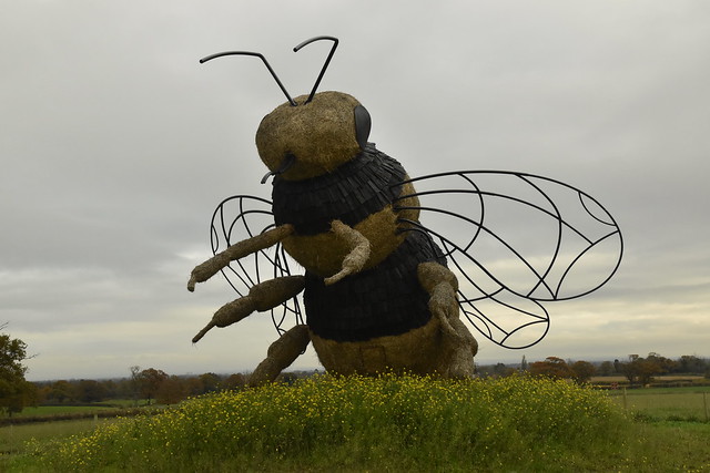 The Snugbury Bee