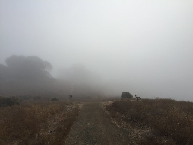 Deep fog