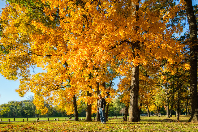 Autumn Arrives in Indiana (16)