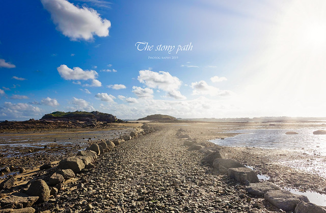 The stony path