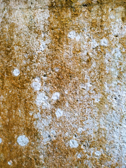 Dirty brown wall texture - by TexturePalace.com