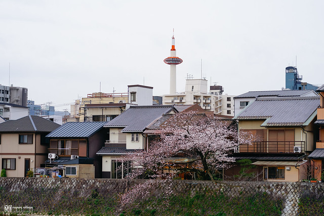 沈醉在如夢的時光中：Sony FE 100mm F2.8 STF GM OSS | 45