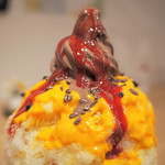Japanese Ice Shaved - Pumpkin Ice / Chocolate Soft Cream Topping