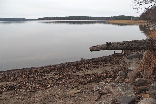 Lake Kallavesi in November