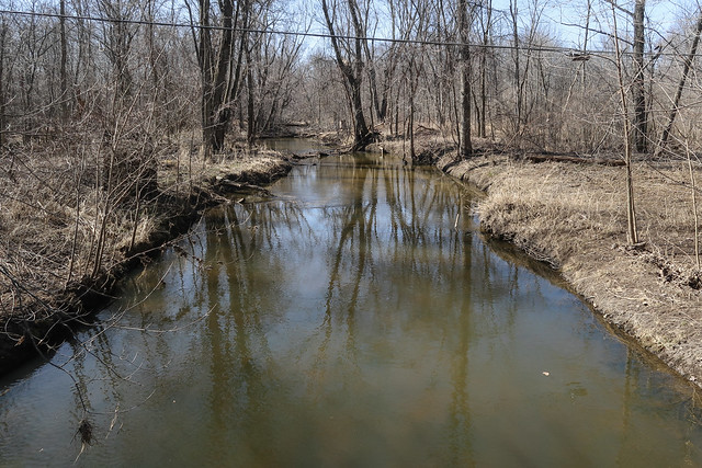 I am trying to put images into your damn head of: WHAT THE THORNAPPLE RIVER LOOKS LIKE, in south-central Michigan.