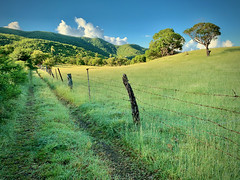 Antiguan Countryside