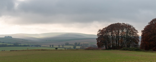 landscape panorama wiltshire wessex aonb unesco barrow burial archaeology field tree misty sky autumn
