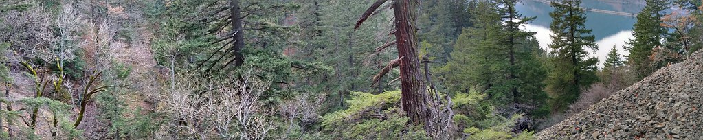 Wygant Trail