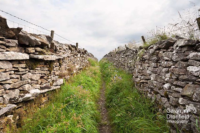 IMG_1597: Smardale track Cumbria UK