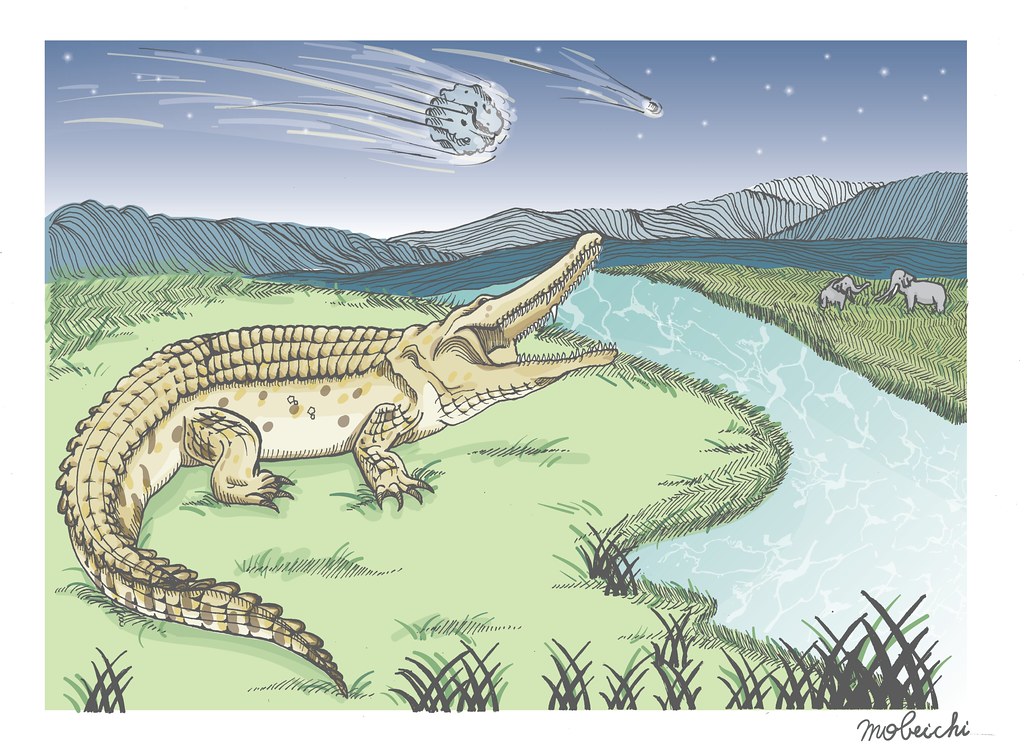 躲過二戰煙硝的化石證明台灣也有鱷魚公主：豐玉姬鱷| 環境資訊中心