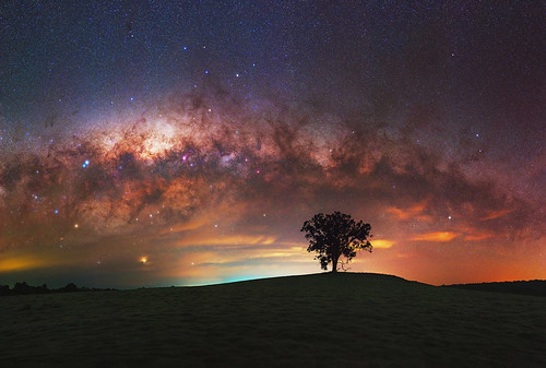 milky way darkan panorama stitched mosaic msice milkyway southern hemisphere cosmos western australia dslr long exposure rural night photography nikon stars astronomy space galaxy astrophotography outdoor core great rift ancient sky 50mm d5500 landscape lone tree farm tracked ioptron skytracker hoya red intensifier filter