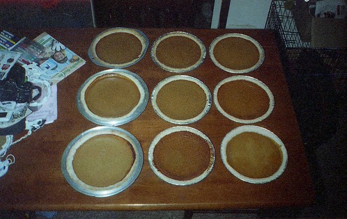 Pumpkin Pies | by HaarFager