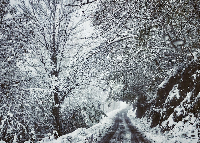 #galiciamagica #galicia #galicia_enamora #pedrafitadocebreiro #nieve #snow #roadtrip #carretera #paisaje #landscape #blancoynegro #paisajenevado #invierno #winter #otoño #autum #picoftheday #iphone7plus #iphonelens