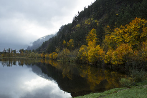 bensonstaterecreationarea fall autumn trees leaves change color reflections water pond lake clouds mountains columbiarivergorge oregon america landscape