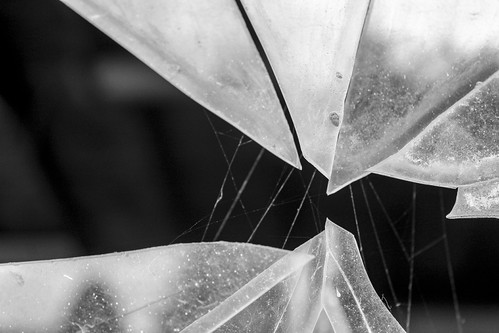 sharp | by HayStone
