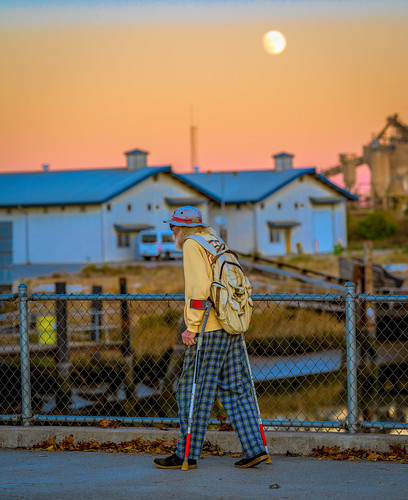 man bridge petaluma sunset light moon
