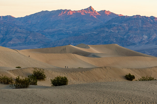 Mesquite Flat Sand Dunes 322 of 365 (Year 6)