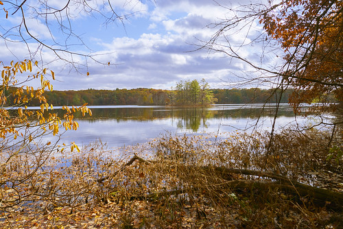 island lake lakeshore fall fallcolors framed clouds reflections
