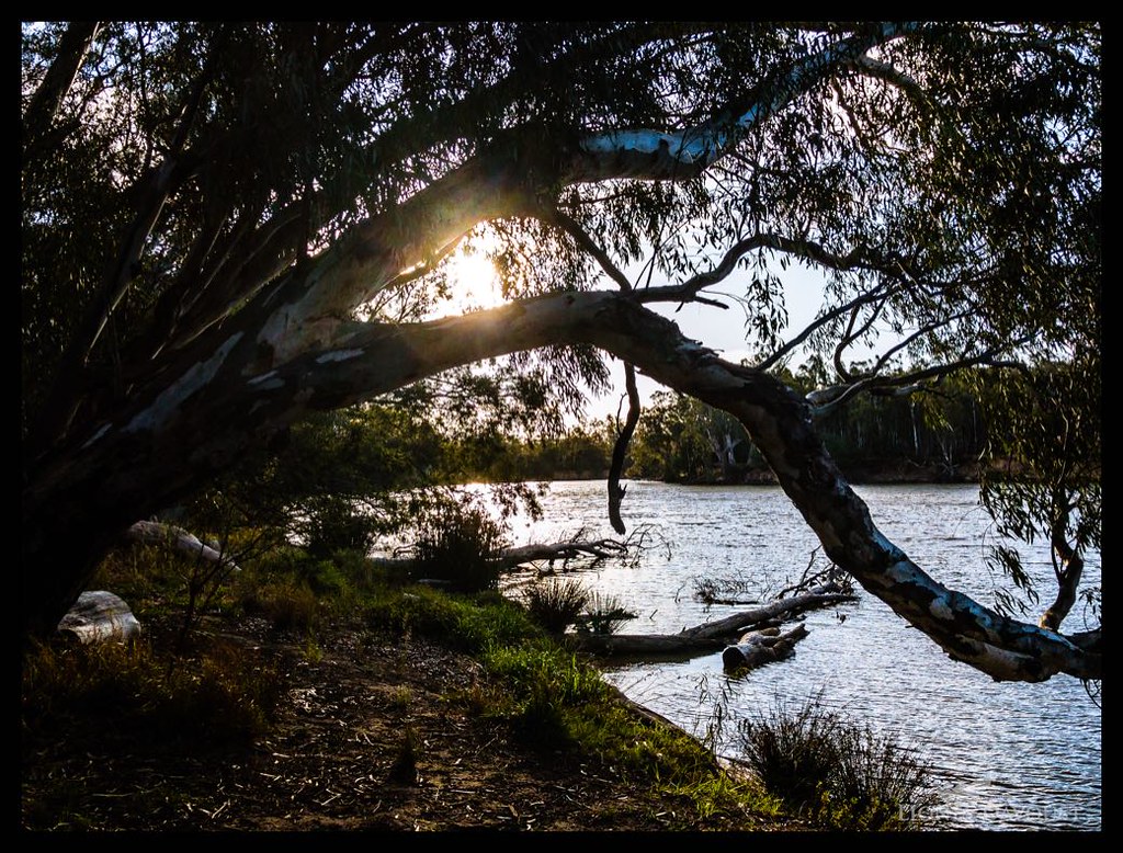 Sunset on the Murray